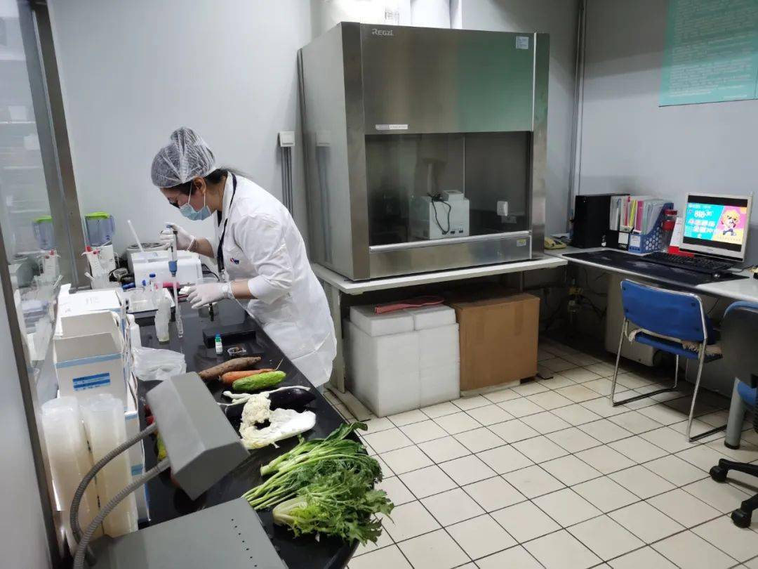 青河食品检测实验室装修方案